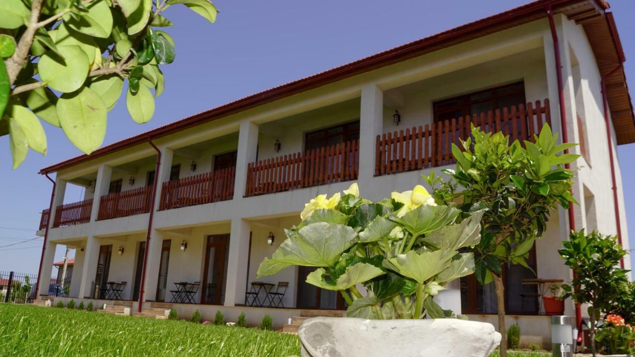 Casa Baran Vama Veche Hotel Buitenkant foto